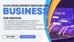 CDN Solutions Group